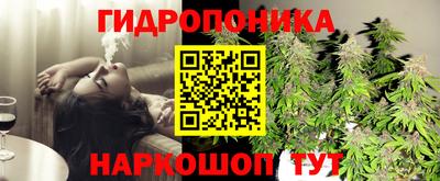 прущие крисы Коммунар