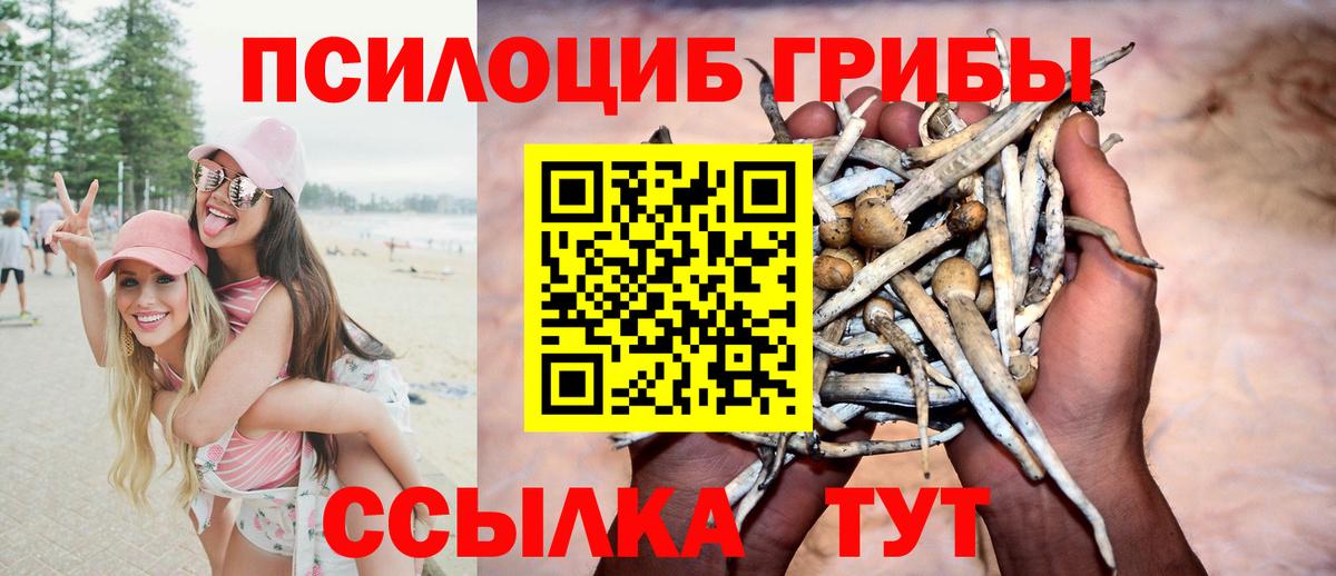 купить  сайты  Вход с VPN  Красноармейск  Галлюциногенные грибы Psilocybe 
