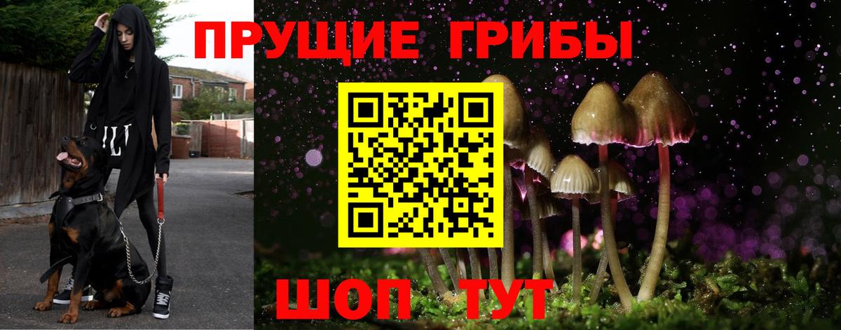 Галлюциногенные грибы MAGIC MUSHROOMS Красноармейск
